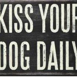 Meet your Posher, Jamey